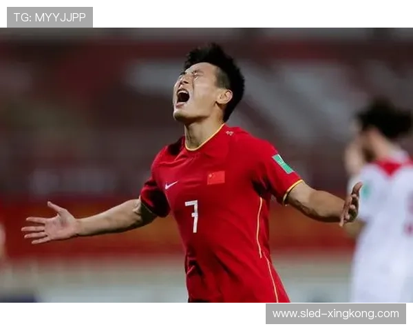 中国足球队现役球员风采解析与未来发展潜力展望